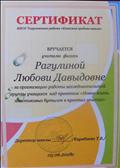 2018. Сертификат МКОУ Тогучинского района "Киикская средняя школа" за организацию работы исследовательской группы учащихся над проектом "Новая жизнь пластиковых бутылок в простых опытах" 2018. Сертификат МКОУ Тогучинского района "Киикская средняя школа" за организацию работы исследовательской группы учащихся над проектом "Новая жизнь пластиковых бутылок в простых опытах"