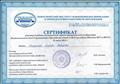 2012г. Сертификат НИПКиПРО. Участие в работе региональной научно-практической конференции "Комплексный подход в организации образования детей с ОВЗ в условиях введения ФГТ и ФГОС"
2012г. Сертификат НИПКиПРО. Участие в работе региональной научно-практической конференции "Комплексный подход в организации образования детей с ОВЗ в условиях введения ФГТ и ФГОС"